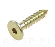 Wkręt HWI 6,3 X 50 mm, SW4, ocynk żółty - 6