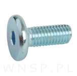 M8 X 20 mm z łbem walcowym na imbus 5 - 6