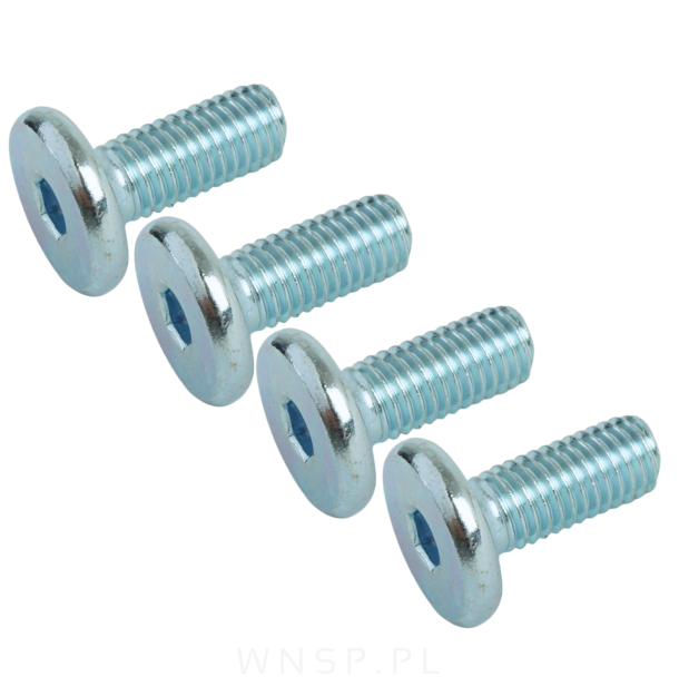 M8 X 20 mm z łbem walcowym na imbus 5