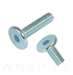 M6 X 25 mm metryczny z łbem walcowym SW 4 - 6