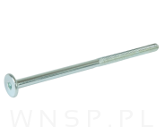 M6 X 115 mm metryczny z łbem walcowym SW 4 - 4