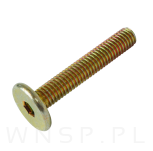 M6 X 35 mm metryczny z łbem walcowym SW 4 - 5