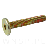 M6 X 35 mm metryczny z łbem walcowym SW 4 - 3