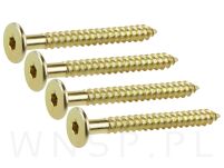 Wkręt HWI 6,3 X 100 mm, SW4, ocynk żółty - 2