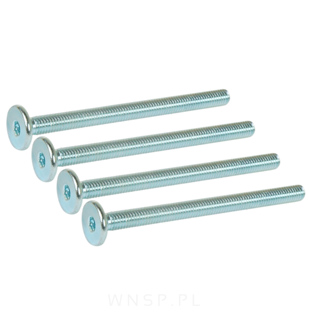 M6 X 110 mm metryczny z łbem walcowym SW 4