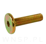 M6 X 25 mm metryczny z łbem walcowym SW 4 - 2