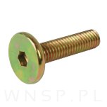 M6 X 25 mm metryczny z łbem walcowym SW 4 - 5