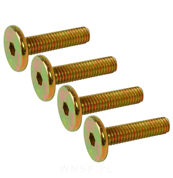 M6 X 25 mm metryczny z łbem walcowym SW 4