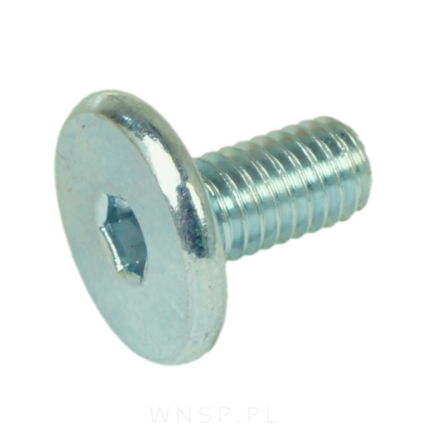 M6 X 12 mm metryczny z łbem walcowym SW 4