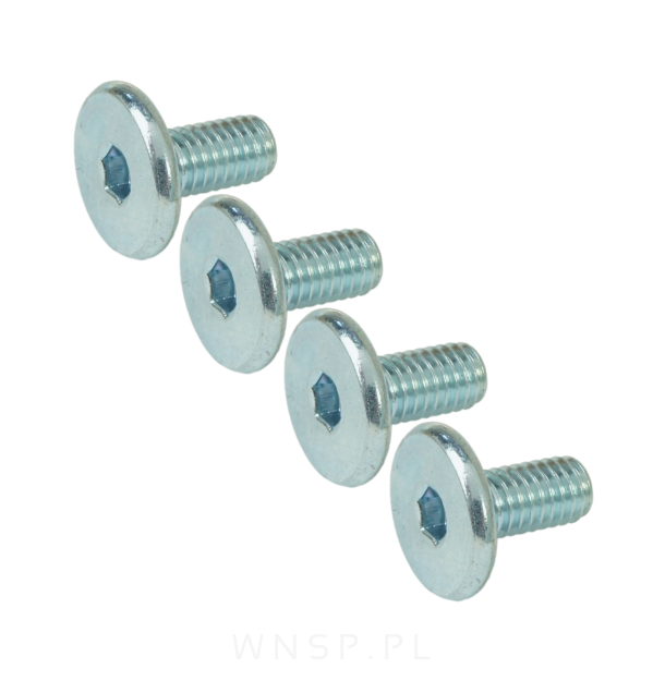 M6 X 12 mm metryczny z łbem walcowym SW 4