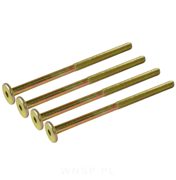 M6 X 105 mm metryczny z łbem walcowym SW 4