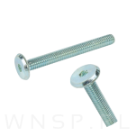 M6 X 55 mm metryczny z łbem walcowym SW 4 - 6