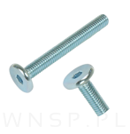 M6 X 60 mm metryczny z łbem walcowym SW 4 - 6
