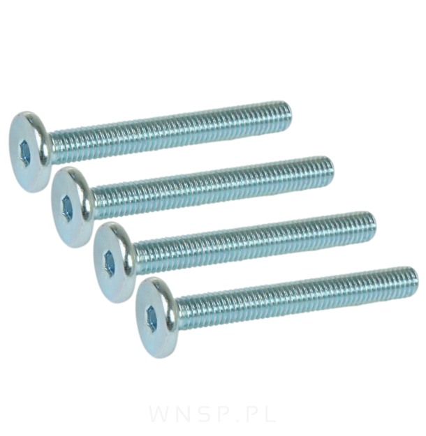 M6 X 60 mm metryczny z łbem walcowym SW 4