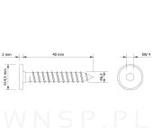 Wkręt HWI 6,3 X 40 mm, SW4, ocynk żółty - 3