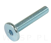 M6 X 35 mm metryczny z łbem walcowym SW 4 - 4