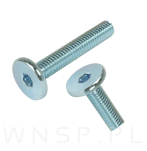 M6 X 35 mm metryczny z łbem walcowym SW 4 - 6