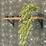 Wspornik, konsola do półki ściennej, wiszącej 300 x 190 x 25 mm - 8