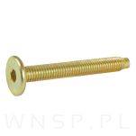M6 X 45 mm metryczny z wprowadzeniem, SW-4 - 3