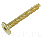 M6 X 45 mm metryczny z wprowadzeniem, SW-4 - 5