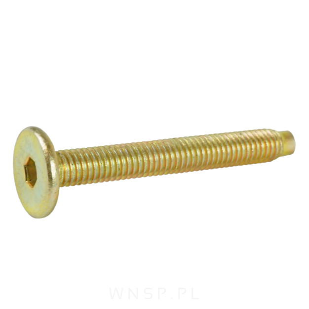 M6 X 45 mm metryczny z wprowadzeniem, SW-4