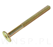 M6 X 65 mm metryczny z łbem walcowym SW 4 - 5