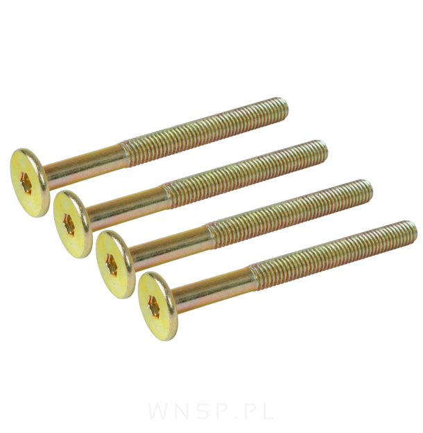 M6 X 65 mm metryczny z łbem walcowym SW 4