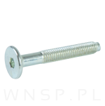 M6 X 40 mm metryczny z wprowadzeniem, SW-4 - 3