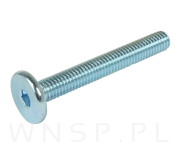 M6 X 45 mm metryczny z łbem walcowym SW 4 - 4