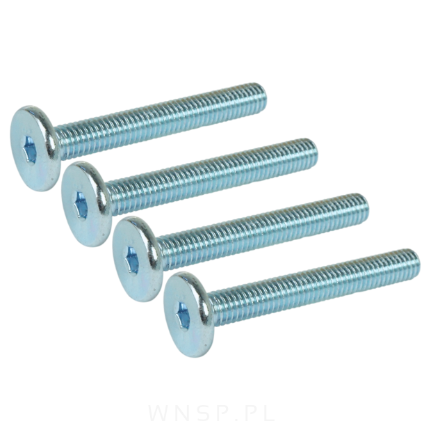 M6 X 45 mm metryczny z łbem walcowym SW 4