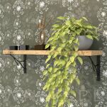 Wspornik do półki ściennej 2 sztuki, TREE 200 x 170 x 20 mm - 5