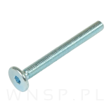 M6 X 70 mm metryczny z łbem walcowym SW 4 - 4