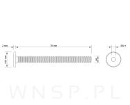 M6 X 70 mm metryczny z łbem walcowym SW 4 - 2