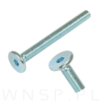 M6 X 70 mm metryczny z łbem walcowym SW 4 - 6
