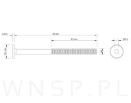 M6 X 85 mm metryczny z łbem walcowym SW 4 - 2