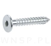 Wkręt HWI 6,3 X 30 mm, SW4, ocynk biały - 4