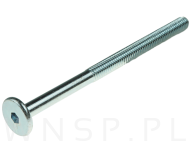 M6 X 85 mm metryczny z łbem walcowym SW 4 - 4