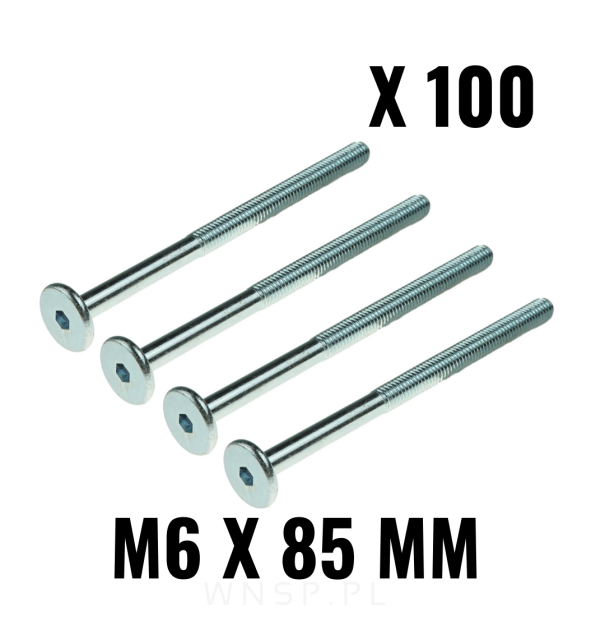 M6 X 85 mm metryczny z łbem walcowym SW 4